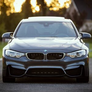 WMCart Limited Edition All-Terrain Charger